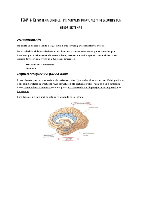 Miniatura del documento 6.-EL-SISTEMA-LIMBICO.pdf