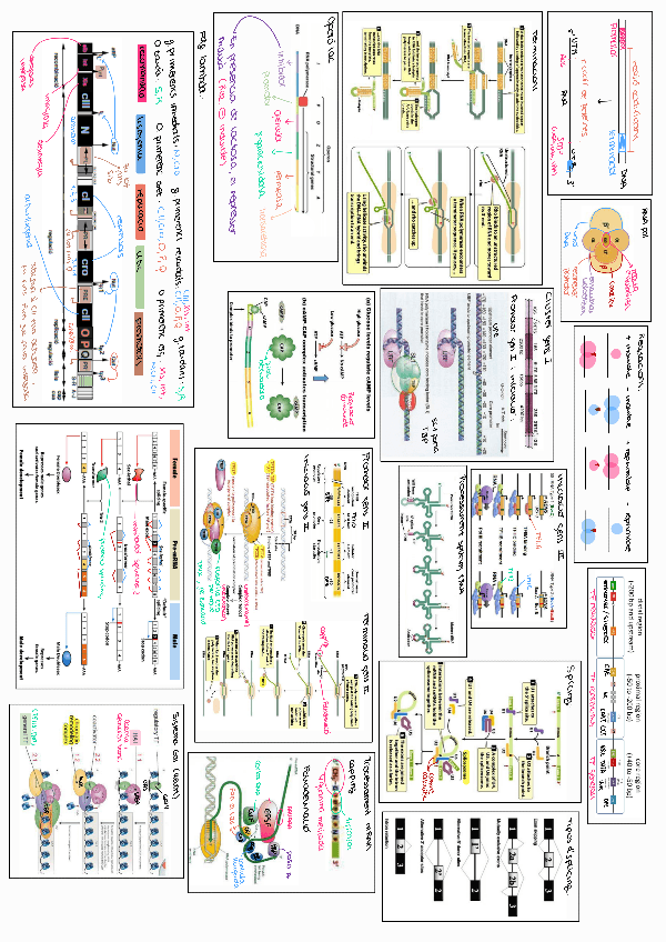 Miniatura del documento Imatges-importants.pdf
