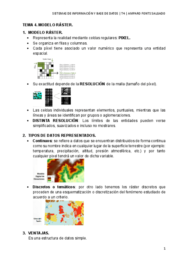 Miniatura del documento TEMA-4-SIYBDG.pdf