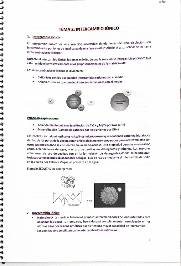 Miniatura del documento Aguaintercambio-ionico.pdf