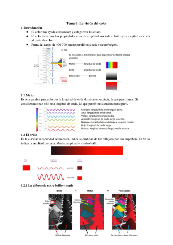 Miniatura del documento Tema-6-Percepcion.pdf