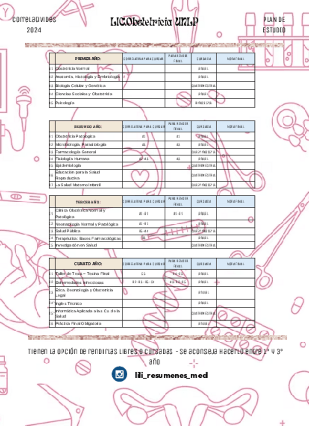 Miniatura del documento Plan-obste-2024.pdf