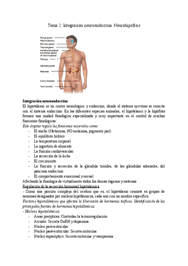 Miniatura del documento Tema-2.-Integracion-neuroendocrina.-Neurohipofisis.pdf
