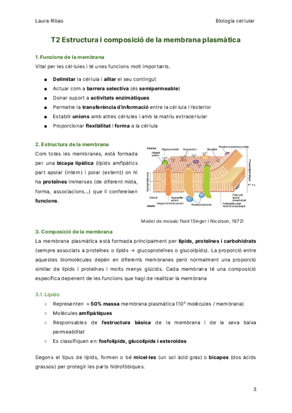 Miniatura del documento T2-Estructura-i-composicio-de-la-membrana-plasmatica.pdf