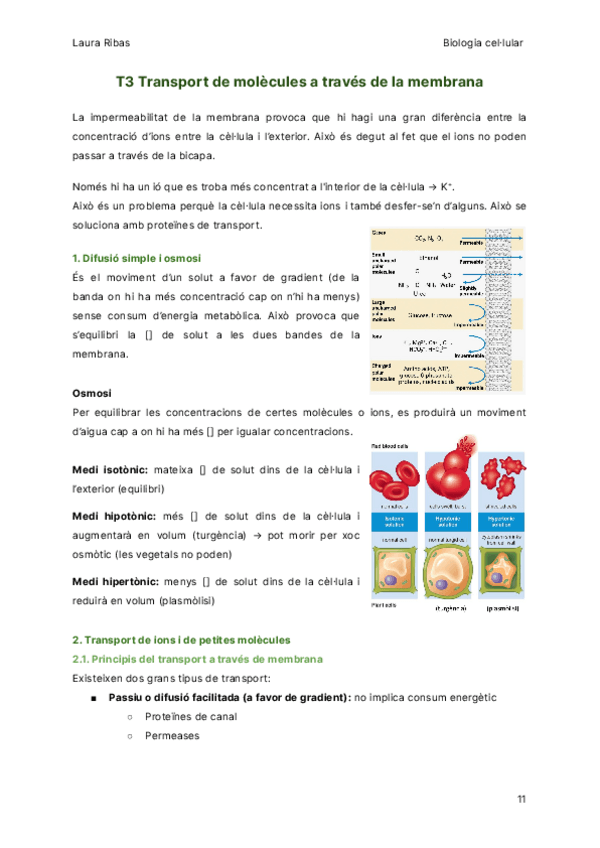 Miniatura del documento T3-Transport-de-molecules-a-traves-de-la-membrana.pdf