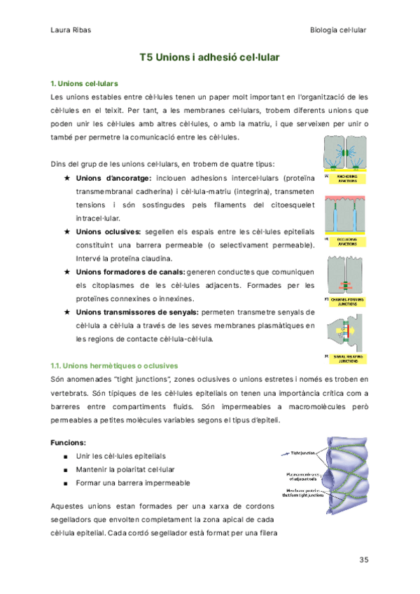 Miniatura del documento T5-Unions-i-adhesio-cellular.pdf