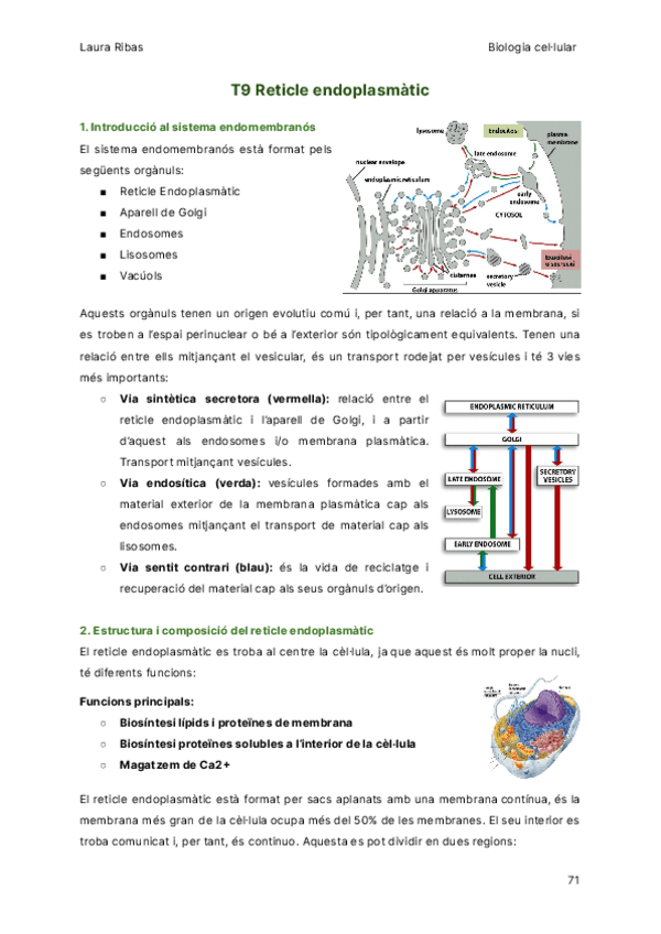 Miniatura del documento T9-Reticle-endoplasmatic.pdf