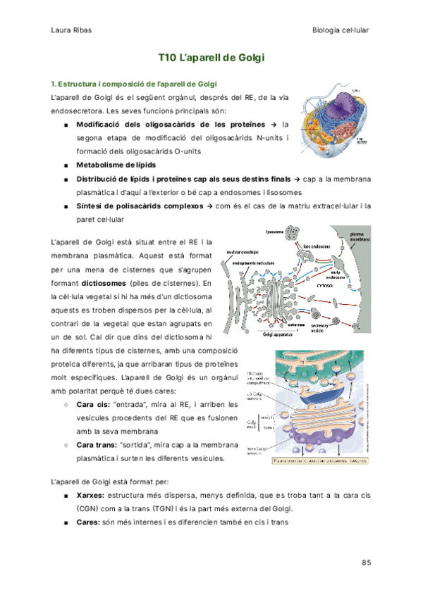 Miniatura del documento T10-Laparell-de-Golgi.pdf