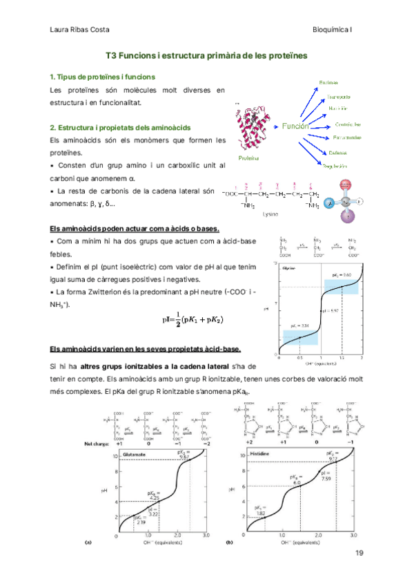 Miniatura del documento T3-Funcions-i-estructura-primaria-de-les-proteines.pdf