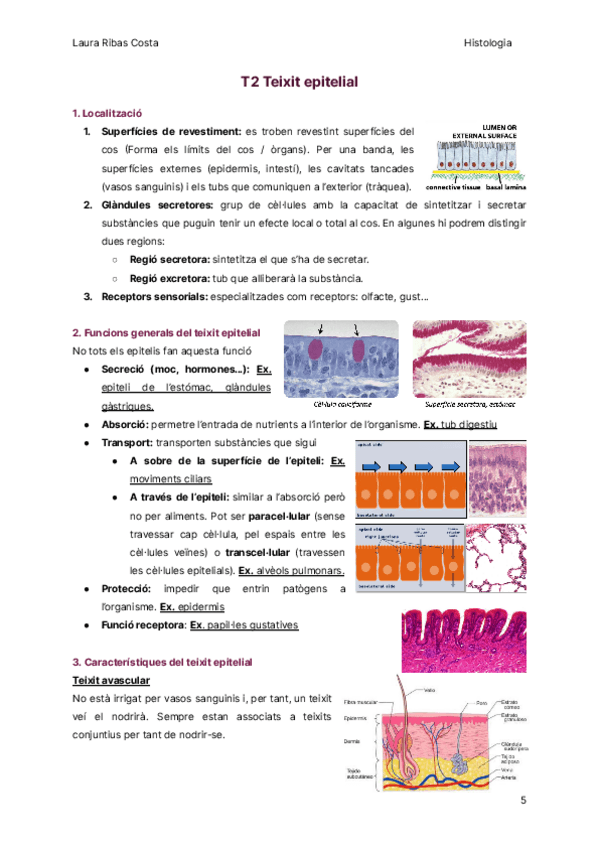 Miniatura del documento T2-Teixit-epitelial.pdf