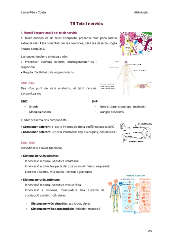 Miniatura del documento T9-Teixit-nervios.pdf