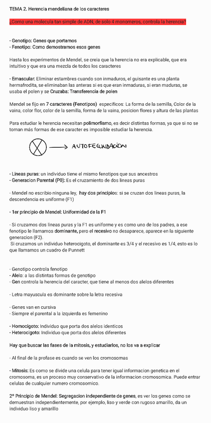 Miniatura del documento Tema-2-Herencia-mendeliana-de-los-caracteres231014192215.pdf