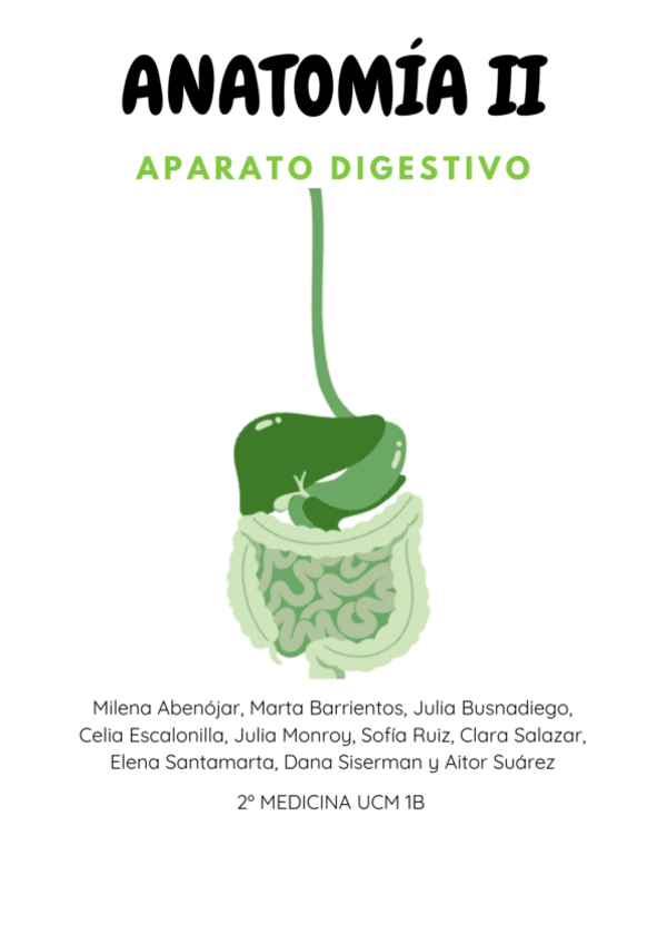 Miniatura del documento ANATOMIA-DIGESTIVO-1B-parte1.pdf