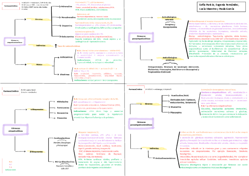 Miniatura del documento ESQUEMA-T2-SNA.pdf