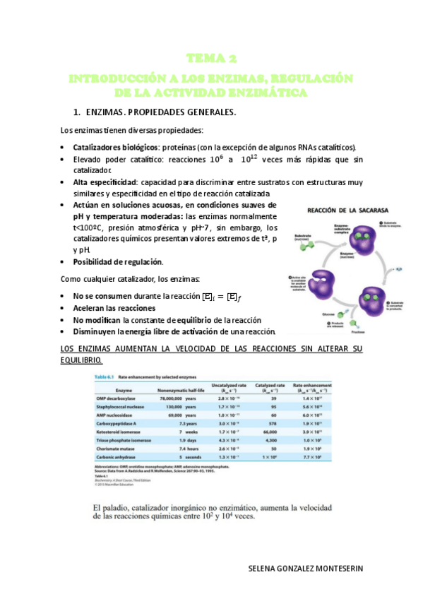 Miniatura del documento TEMA-2.-INTRODUCCION-A-LOS-ENZIMAS.-REGULACION-DE-LA-ACTIVIDAD-ENZIMATICA-PDF.pdf