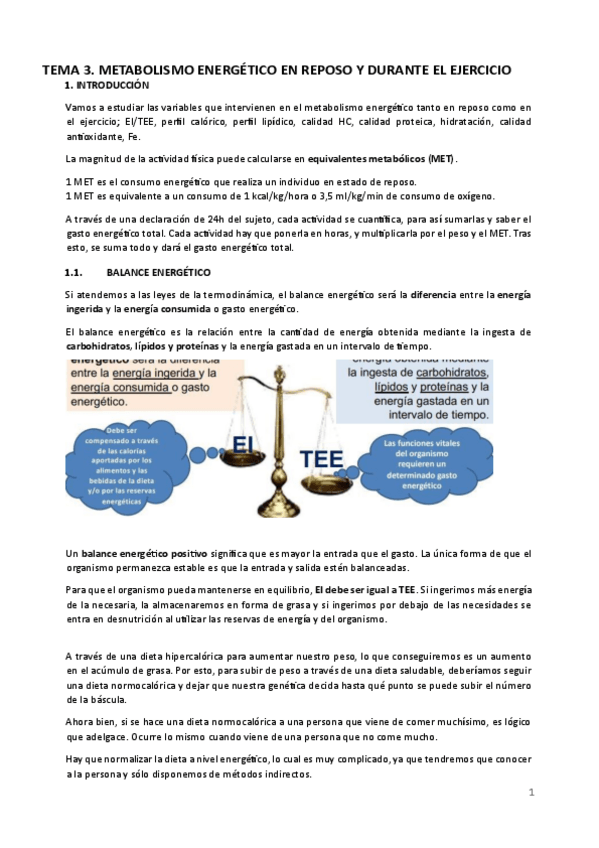 Miniatura del documento TEMA-3-AF.pdf