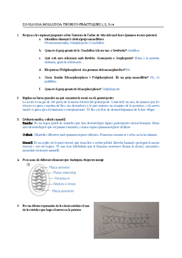 Miniatura del documento 5.-Questionari-Molluscs.pdf