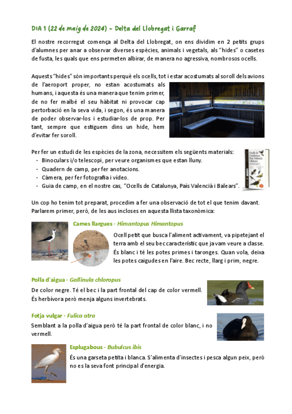 Miniatura del documento SORTIDES-de-CAMP-ZOO.pdf
