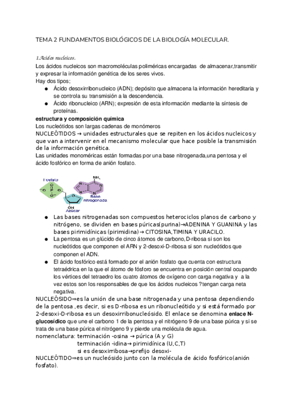 Miniatura del documento TEMA-2-FUNDAMENTOS-BIOLOGICOS-DE-LA-BIOLOGIA-MOLECULAR.docx