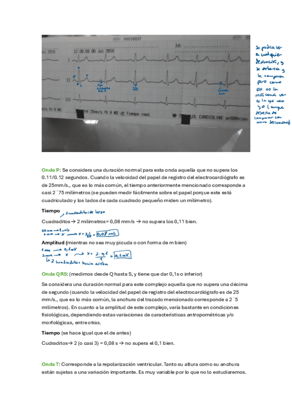 Miniatura del documento Practica-5-fisio.pdf
