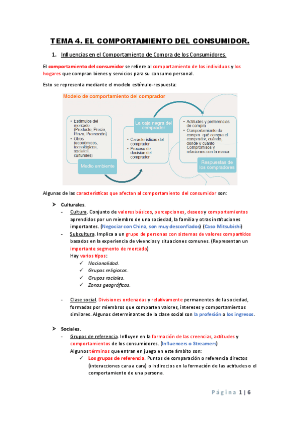 Miniatura del documento TEMA-4.-EL-COMPORTAMIENTO-DEL-CONSUMIDOR..pdf