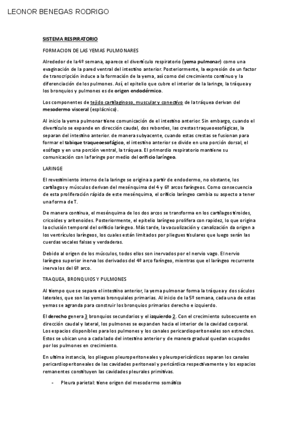 Miniatura del documento RESPIRATORIO.pdf
