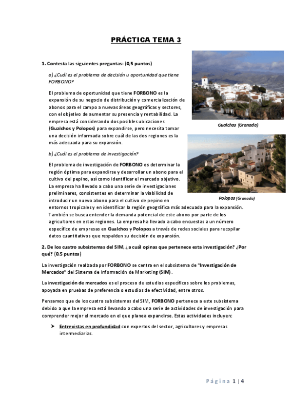 Miniatura del documento PRACTICA-TEMA-3.pdf