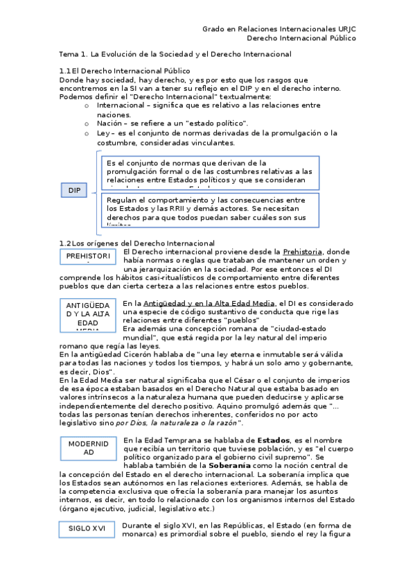 Miniatura del documento Derecho-Internacional-Publico.docx