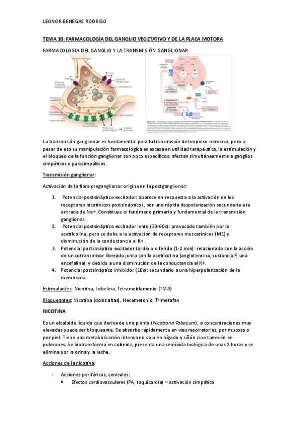 Miniatura del documento TEMA-10.pdf