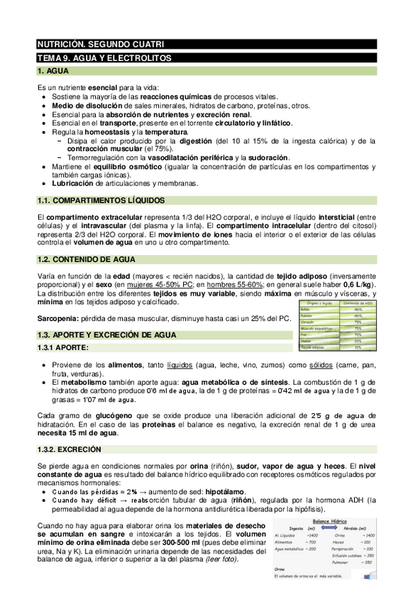 Miniatura del documento Apuntes-SEGUNDO-CUATRI-nutricion.pdf