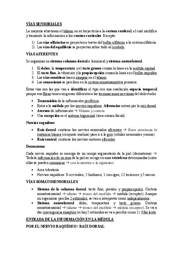 Miniatura del documento Tema-3-vias-sensoriales.pdf