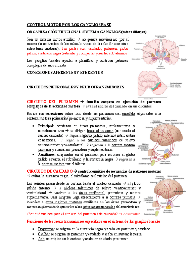 Miniatura del documento Tema-6-ganglios-y-cerebelo.pdf