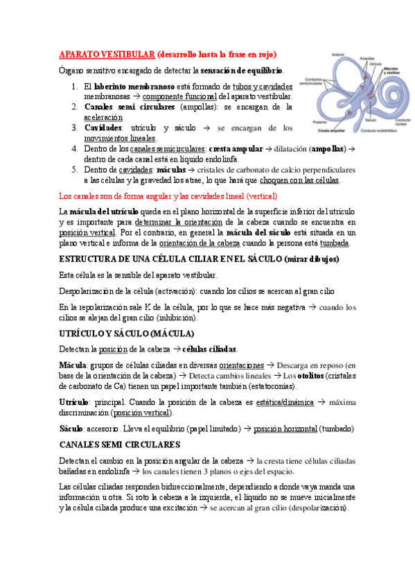 Miniatura del documento Tema-6b-psicofisio.pdf