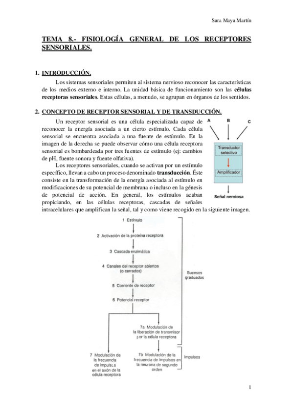 Miniatura del documento TEMA 8.- FISIOLOGÍA GENERAL DE LOS RECEPTORES SENSORIALES..pdf