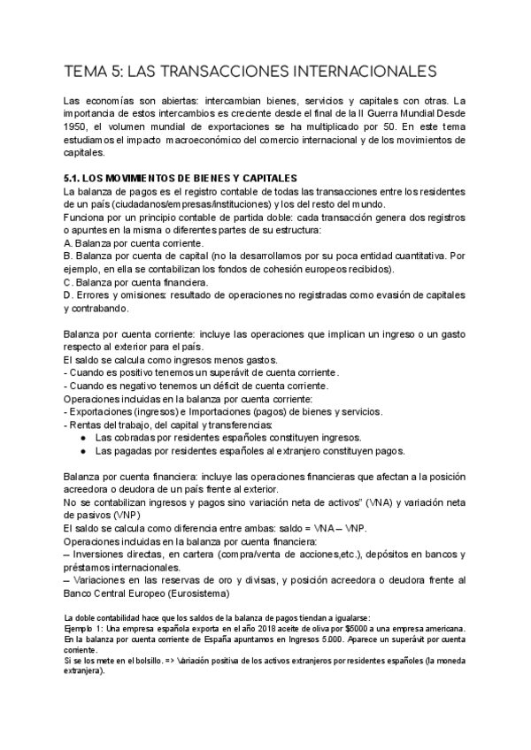 Miniatura del documento TEMA-5-LAS-TRANSACCIONES-INTERNACIONALES.pdf