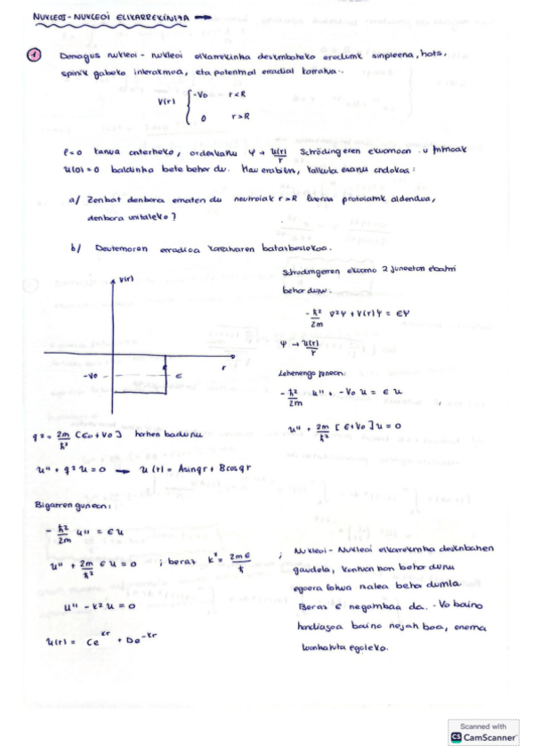 Miniatura del documento NUKLEOI-NUKLEOI-ARIKETAK.pdf
