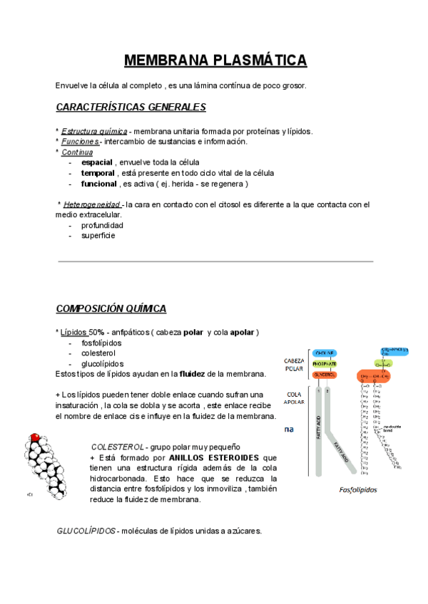 Miniatura del documento BIOLOGIA-CELULAR.pdf