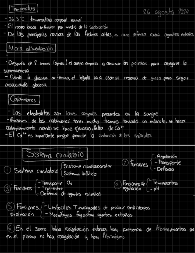 Miniatura del documento Sistema-circulatorio.pdf