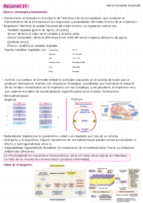 Miniatura del documento Resumen-Fisiologia-I1.pdf