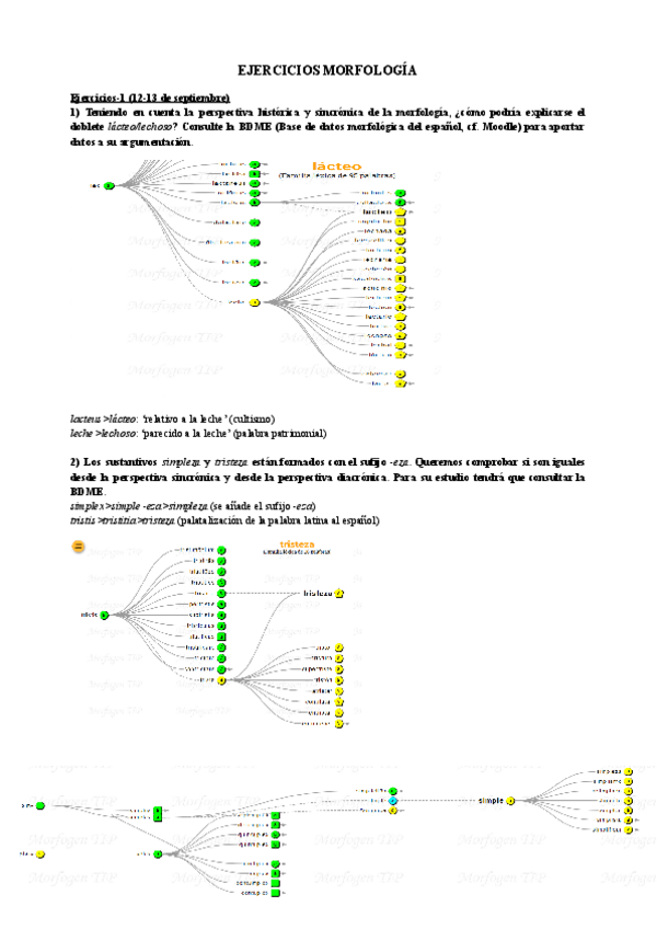 Miniatura del documento EJERCICIOS-MORFOLOGIA.pdf