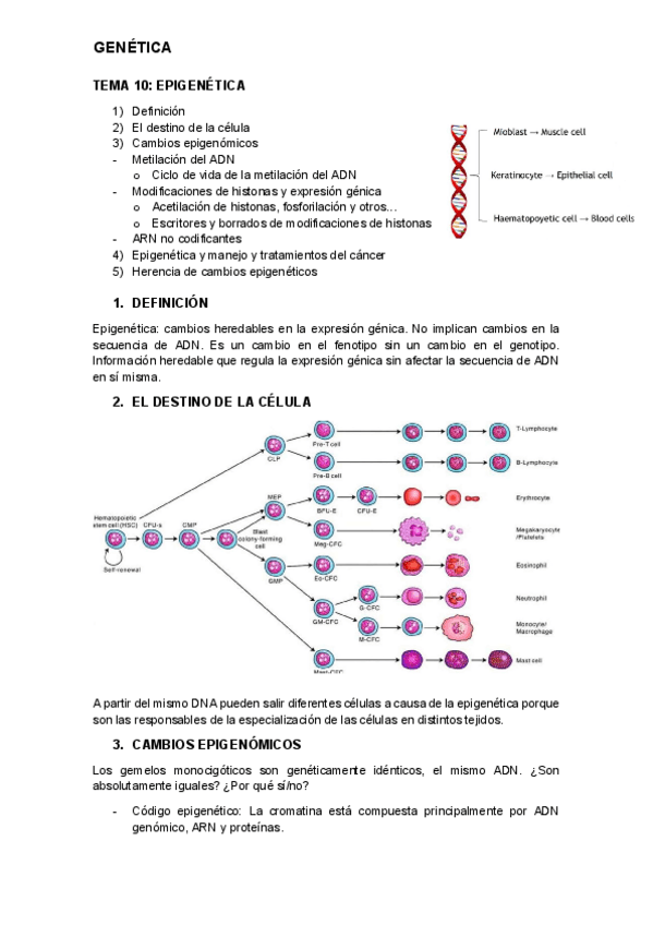 Miniatura del documento tema-10.pdf