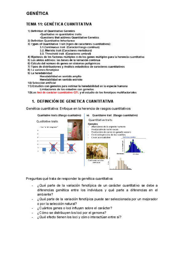 Miniatura del documento tema-11.pdf