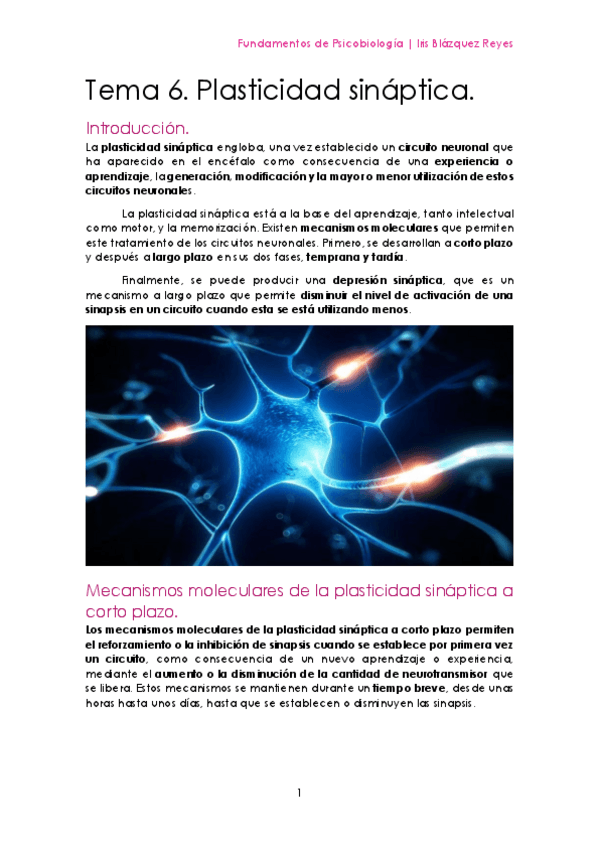Miniatura del documento TEMA 6. PLASTICIDAD SINÁPTICA.pdf