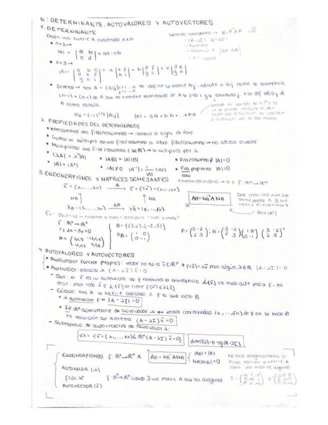 Miniatura del documento 6.DETERMINANTE.AUTOVALORES-Y-AUTOVECTORES.pdf