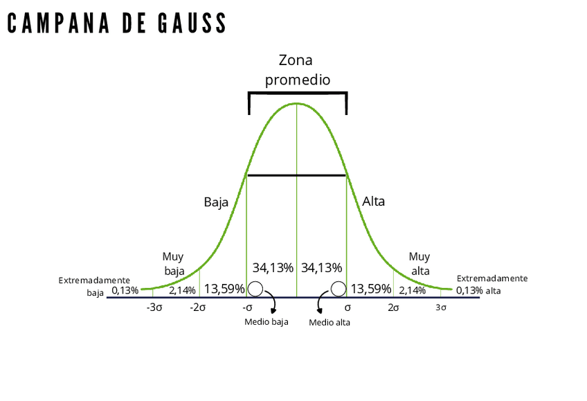 Miniatura del documento Campana-de-gauss-y-demas.pdf