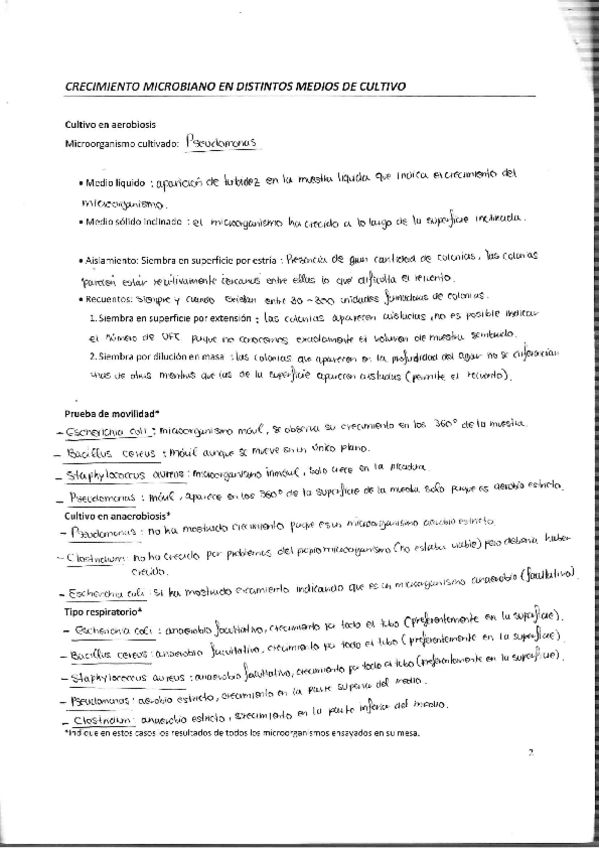 Miniatura del documento Informe Prácticas 2018-2019.pdf