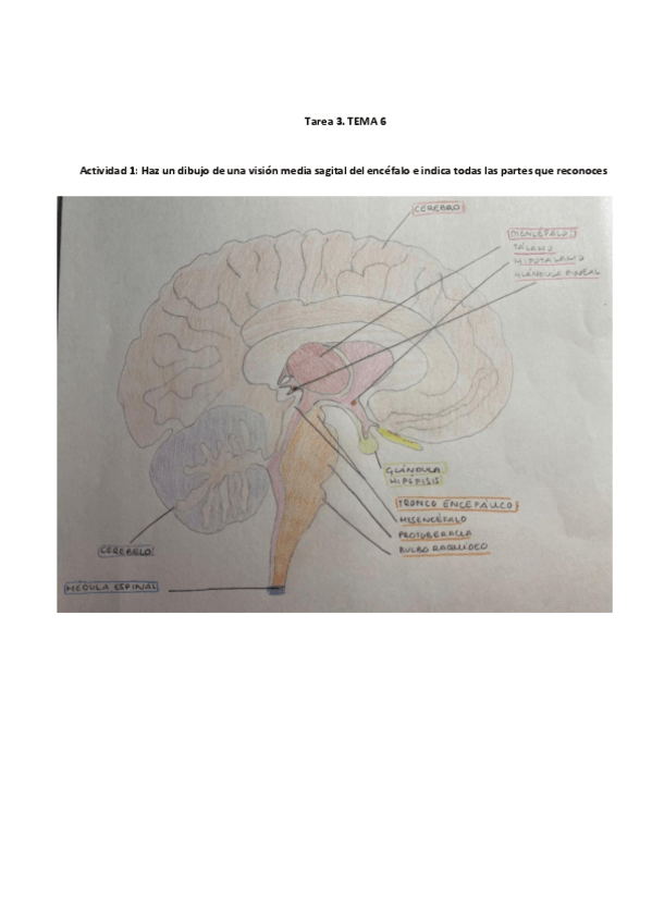 Miniatura del documento Tarea-3-Tema-6.pdf
