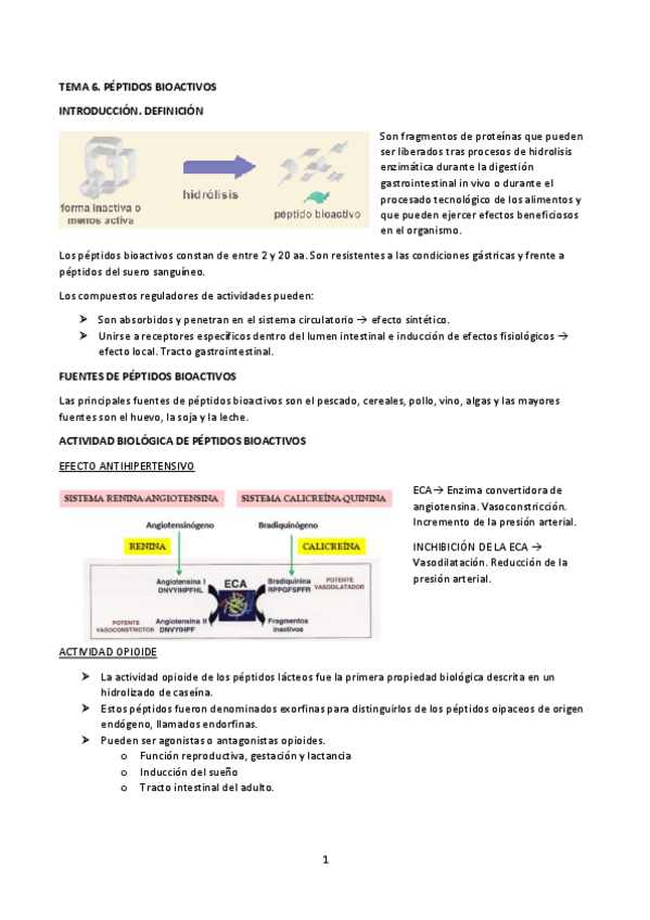 Miniatura del documento TEMA 6. PÉPTIDOS BIOACTIVOS.pdf