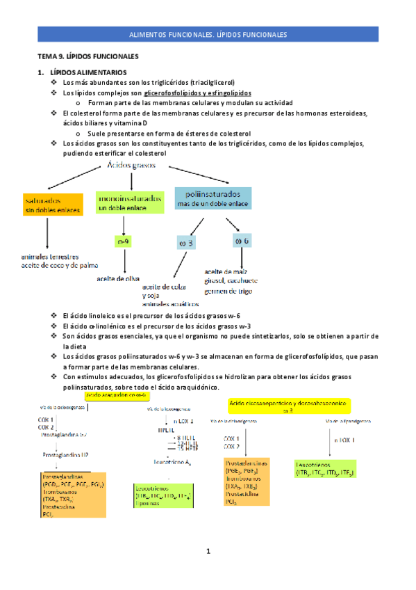 Miniatura del documento TEMA 9. LÍPIDOS FUNCIONALES .pdf