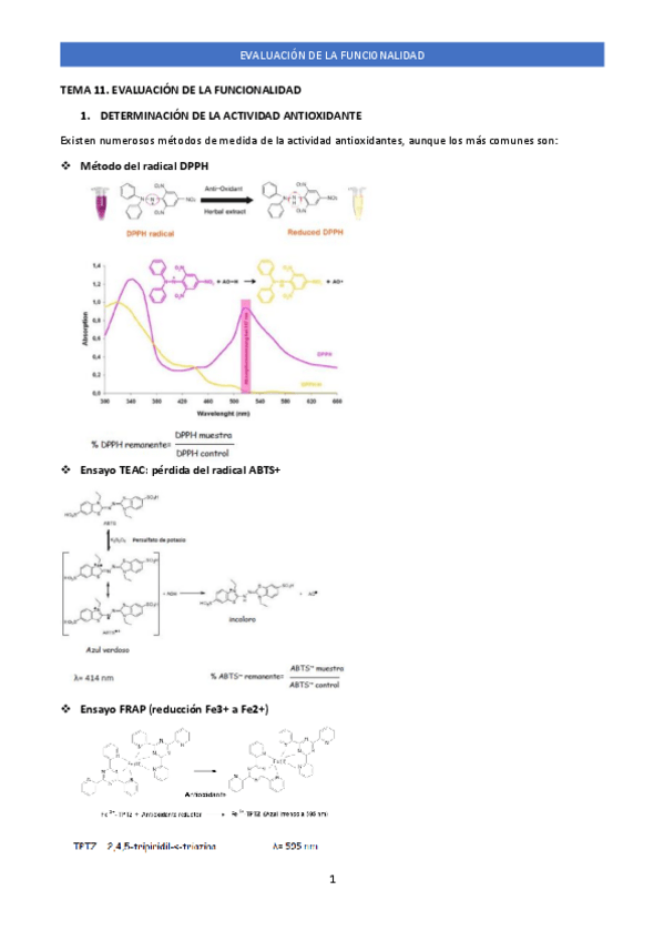 Miniatura del documento TEMA 11. EVALUACIÓN DE LA FUNCIONALIDAD .pdf